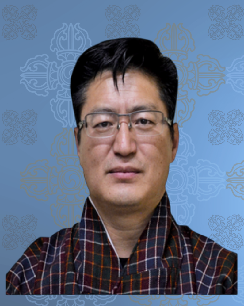 Portrait of Mr Ujjwal Deep Dahal